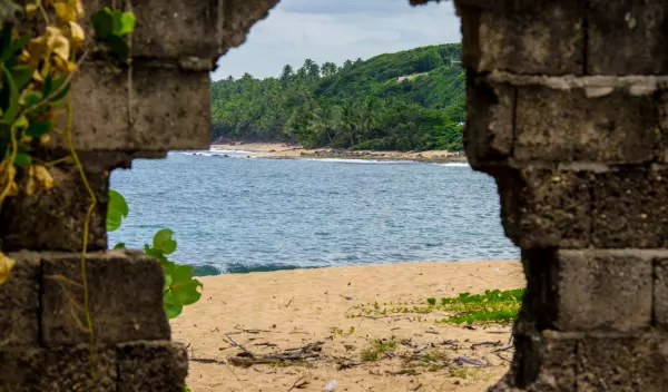 Manatí