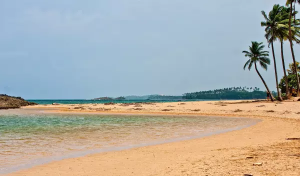 Vega Baja